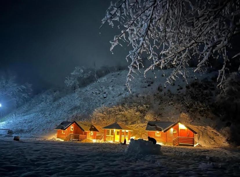 Wooden Corner Daire Kolaşin Dış mekan fotoğraf